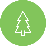 Tree icon